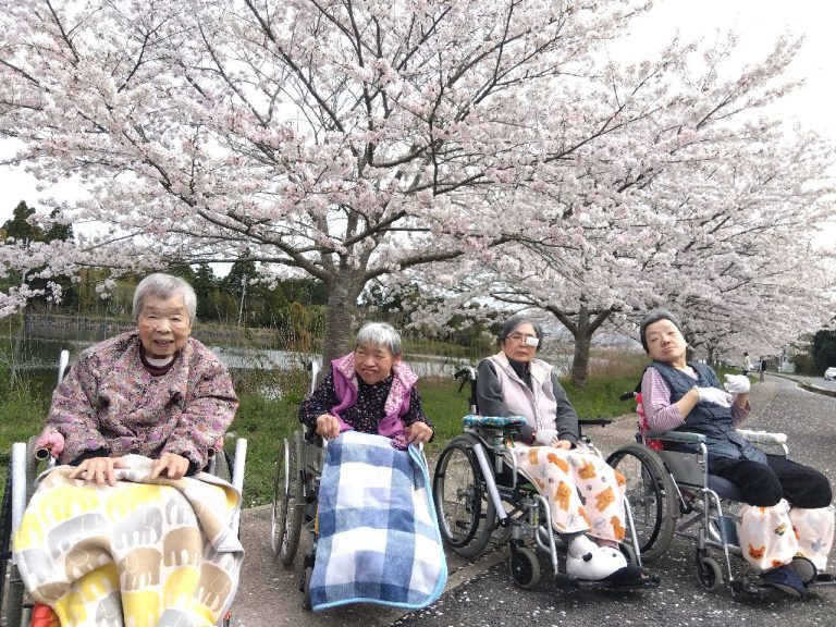 桜の下で入居者が屋外活動を楽しむ風景。春の季節行事として複数名が車椅子などで参加。